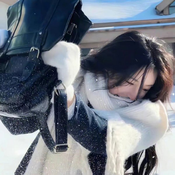 偷蛋贼海报
