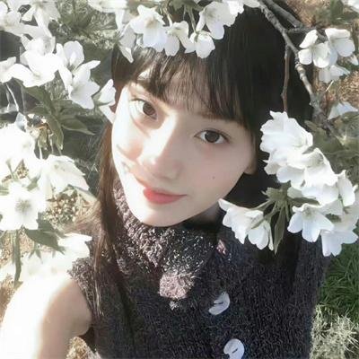 女神异闻录5海报